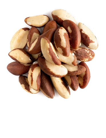 Brazil Nut