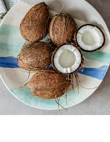Coconut