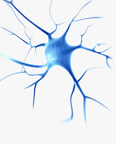 ALS RELATED METABOLIC PATHWAY DISCOVERED BY SHEFFIELD SCIENTISTS USING BIOLOG TECHNOLOGY