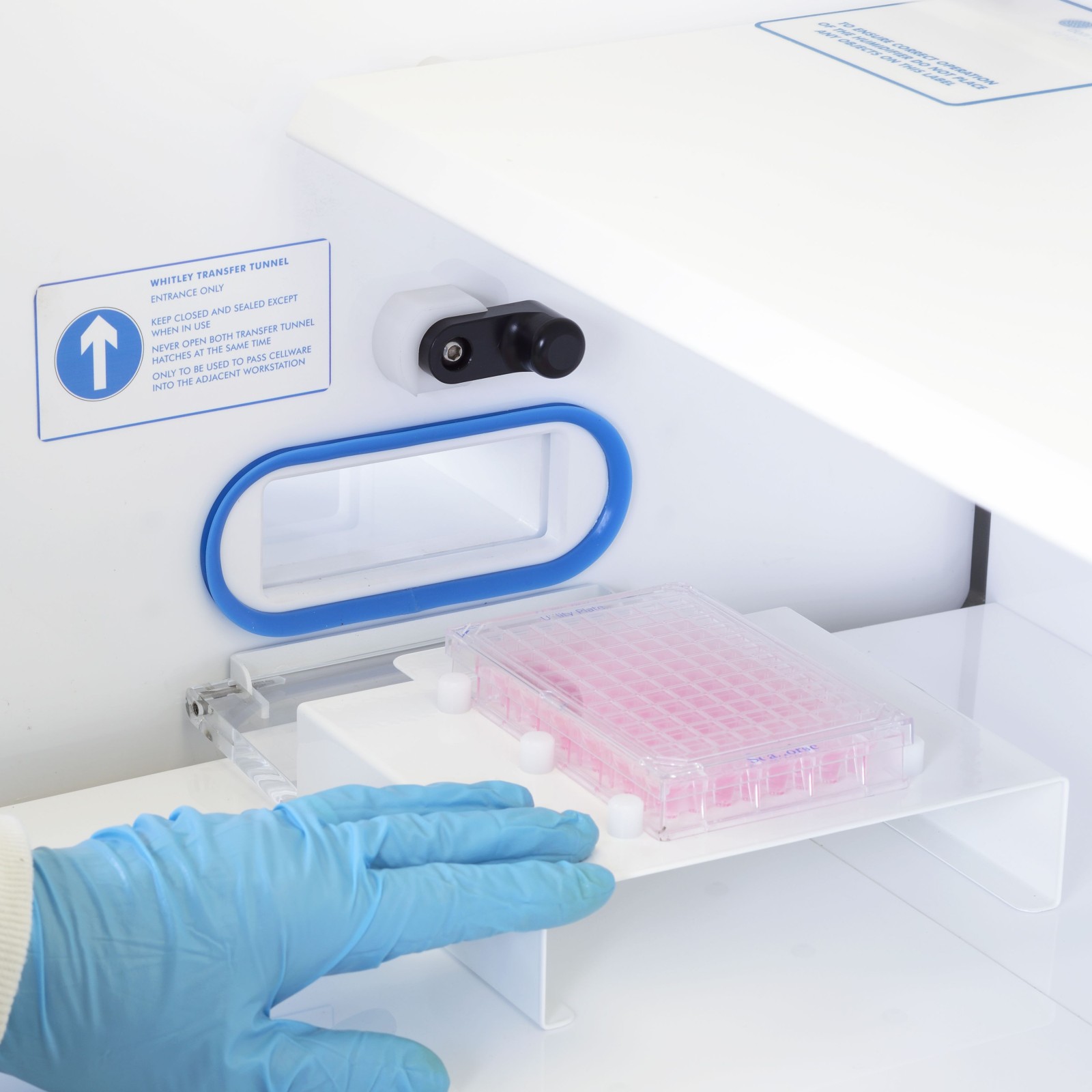 Whitley i2 Instrument Workstation