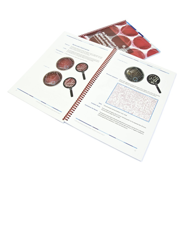 Introduction to Clinical Anaerobic Bacteriology
