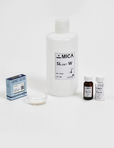 Legionella pneumophila