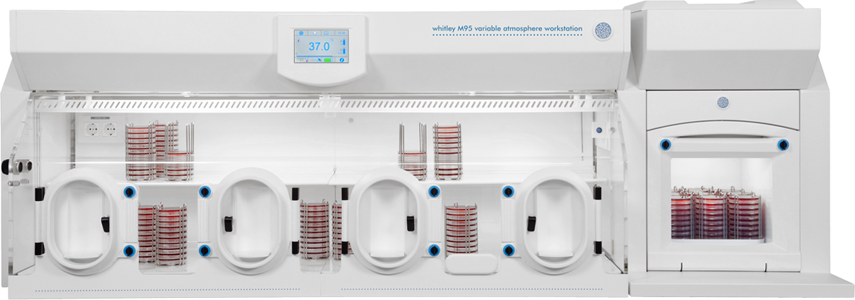 Whitley M95 Workstation
