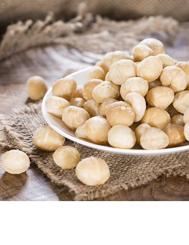 Macadamia Nut
