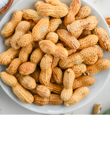Peanut