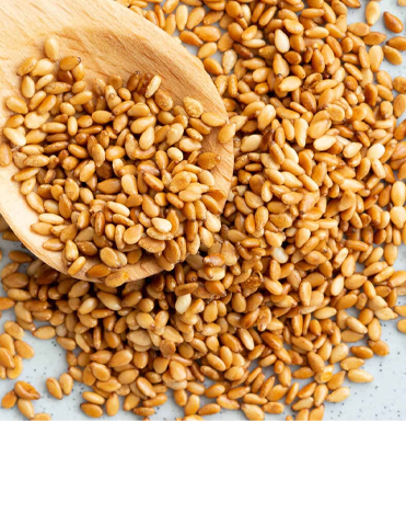 Sesame