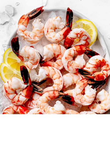 Crustacea